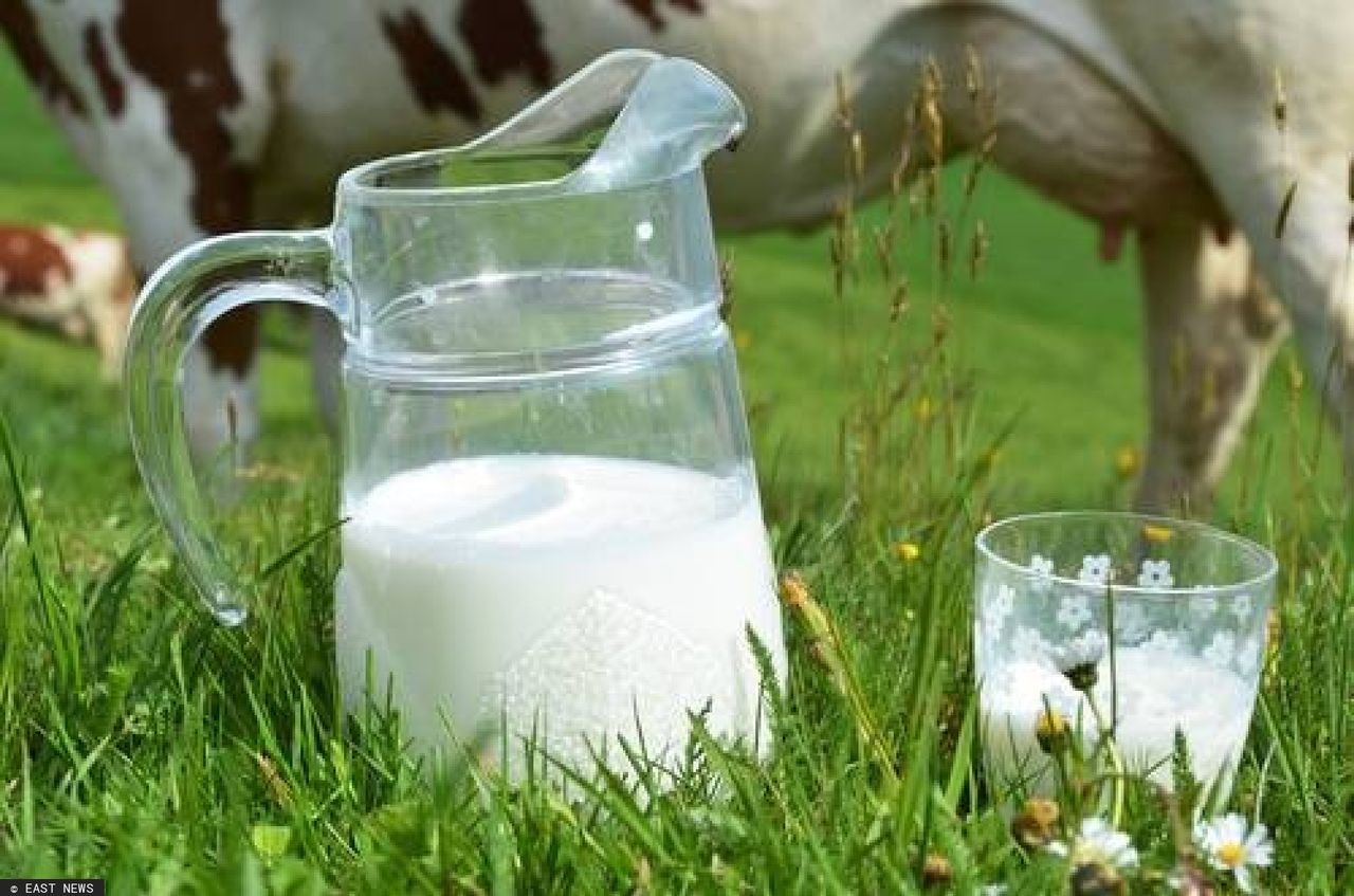 Picie mleka zwiększa ryzyko zachorowania na raka piersi. Zaskakujące wnioski badaczy
