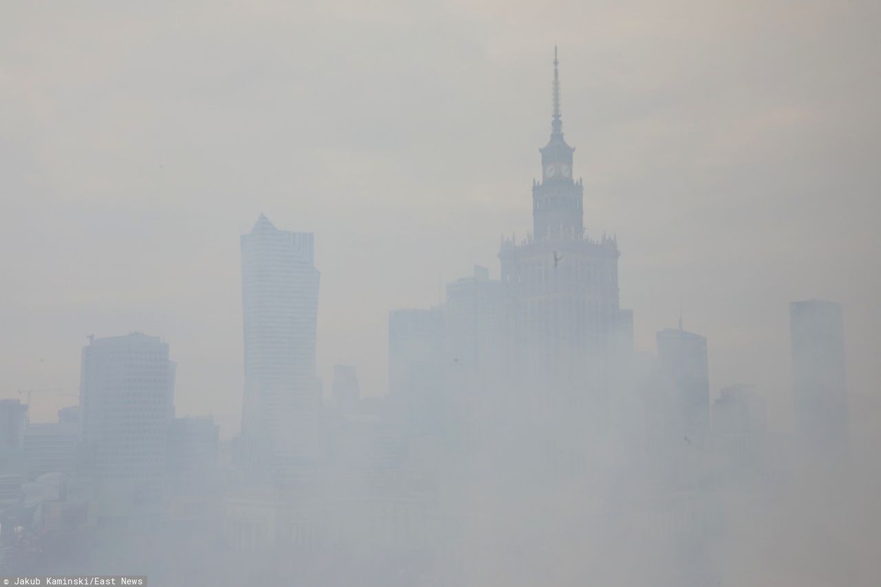 Za 20 lat zniknie normalność. Susza, wysokie temperatury i klęski żywiołowe w Warszawie