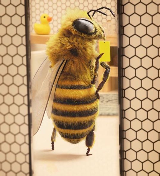 Pszczoła influencerka. Na Instagramie walczy z problemem wymierania pszczelich rodzin