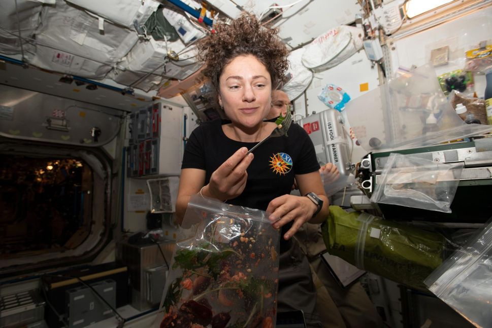 Astronauci hodują rośliny w kosmosie i z nadzieją patrzą w swoje kosmiczne sałatki