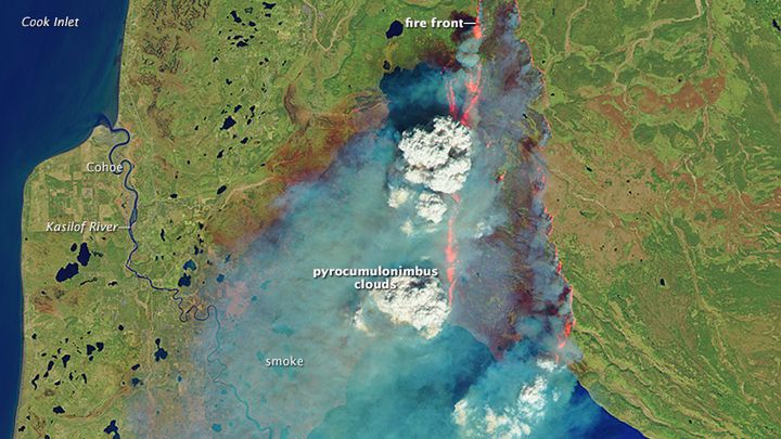 Arktyka płonie. Widać to na zdjęciach satelitarnych.
