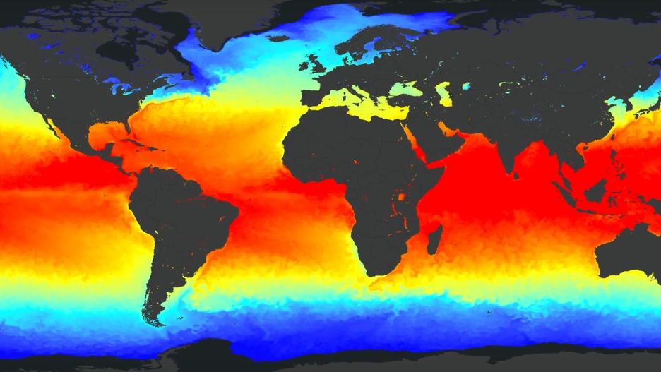 Temperatura wody w morzach i oceanach rośnie. 