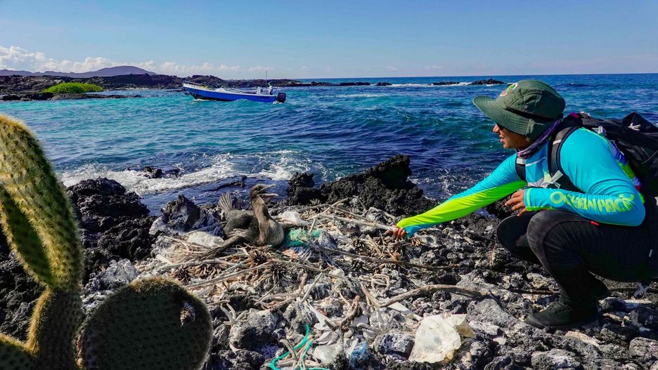 Gdzie jest plastik z oceanów?