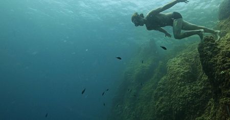 Nurkowanie na bezdechu. Zdjęcia z treningu mistrza freedivingu robią wrażenie