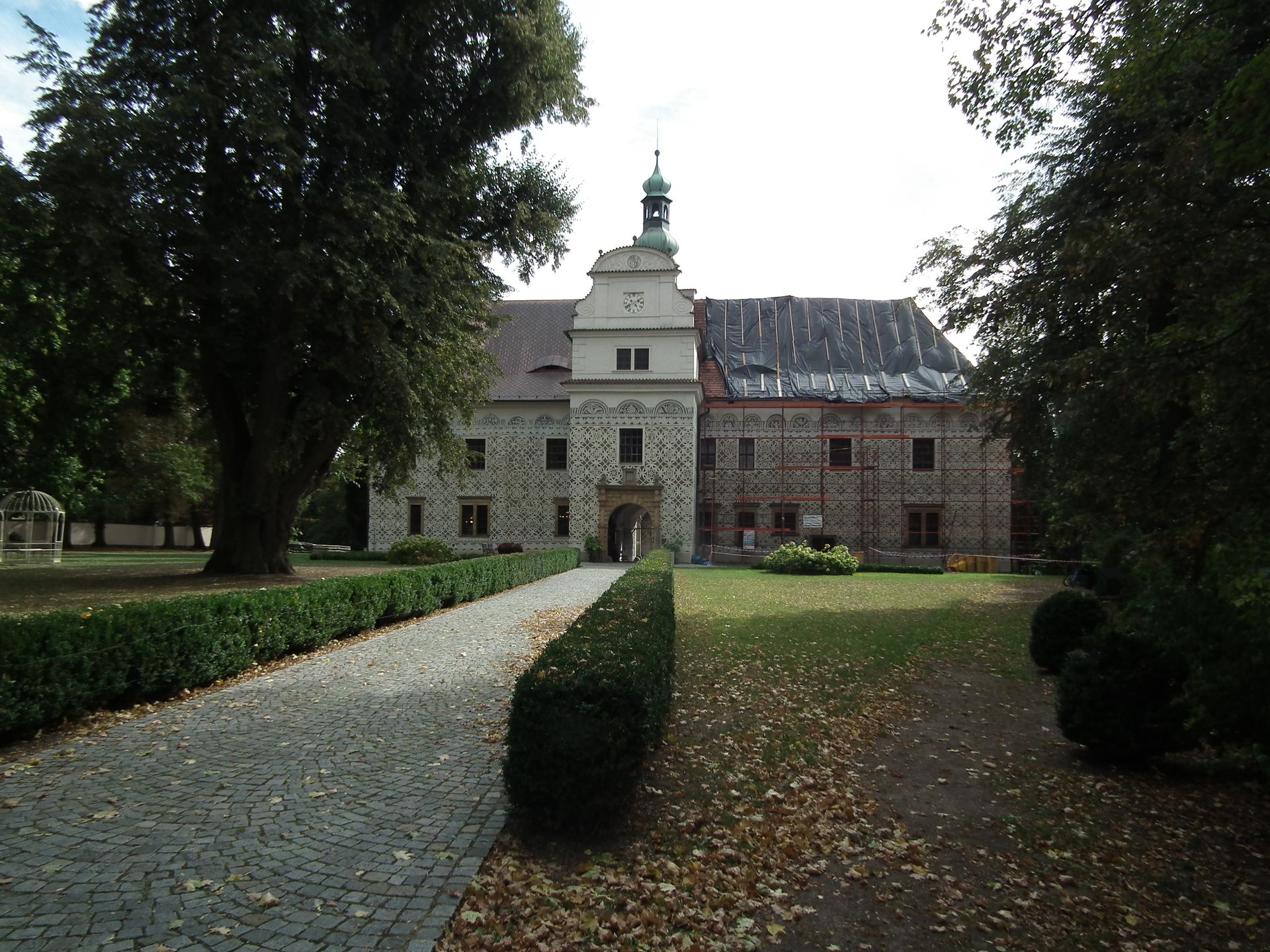 Obraz