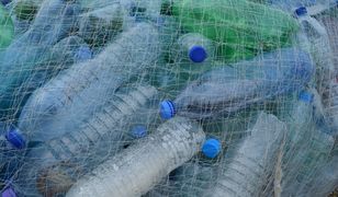 Plastik do lamusa. Ale producenci zastępują go materiałami gorszymi dla środowiska