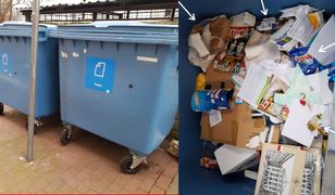 Nie potrafimy segregować odpadów. Zajrzałam do śmietników Polaków