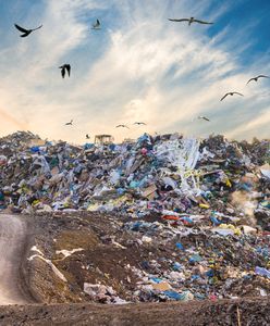 GUS: produkujemy coraz więcej śmieci