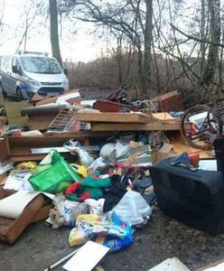 Warszawa. Śmieci w Lasku Bródnowskim. Wśród nich dokumenty właściciela