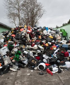 W Europie jesteśmy niechlubnym wyjątkiem. Wolna amerykanka przy wyrzucaniu elektrośmieci