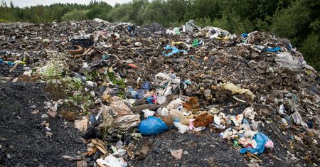Przyjechał na łąkę wyrzucić śmieci. Został przyłapany na gorącym uczynku