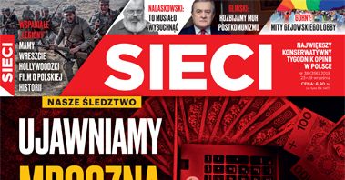 "Za maszyną hejtu w internecie stoją ludzie PO". O tym piszą tygodniki