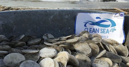 Popularne plaże toną w śmieciach. Morze wyrzuciło setki tysięcy plastikowych krążków