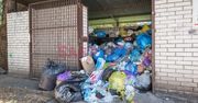 Kryzys śmieciowy nie tylko na Mokotowie. Z tym problemem może borykać się cała Warszawa