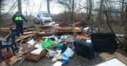 Warszawa. Śmieci w Lasku Bródnowskim. Wśród nich dokumenty właściciela