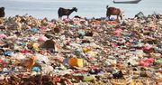 Śmieci w oceanach. Toniemy w plastiku