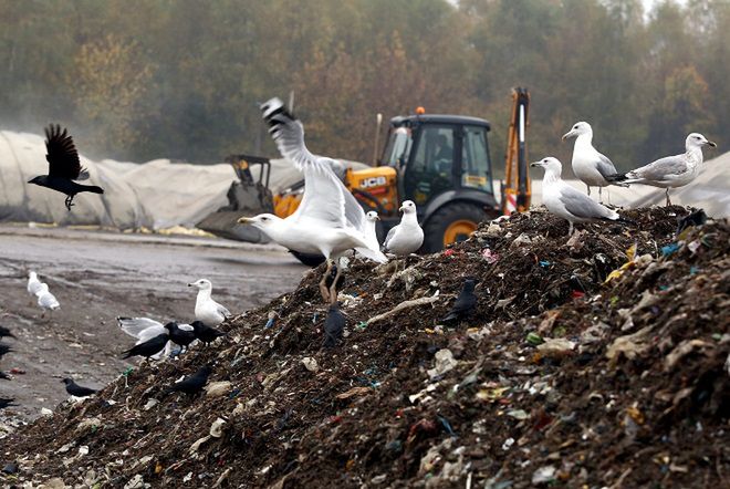 Polska śmietnikiem Europy. Sprowadzamy coraz więcej odpadów 