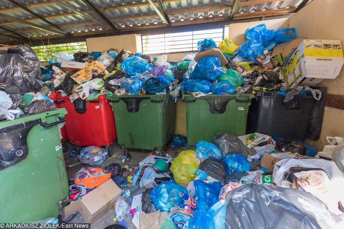 Aktywiści żądają wyjaśnień ws. wywozu śmieci na Mokotowie. "Władze po cichu wymieniają prezesa MPO"