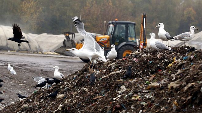 Rosnące góry śmieci.