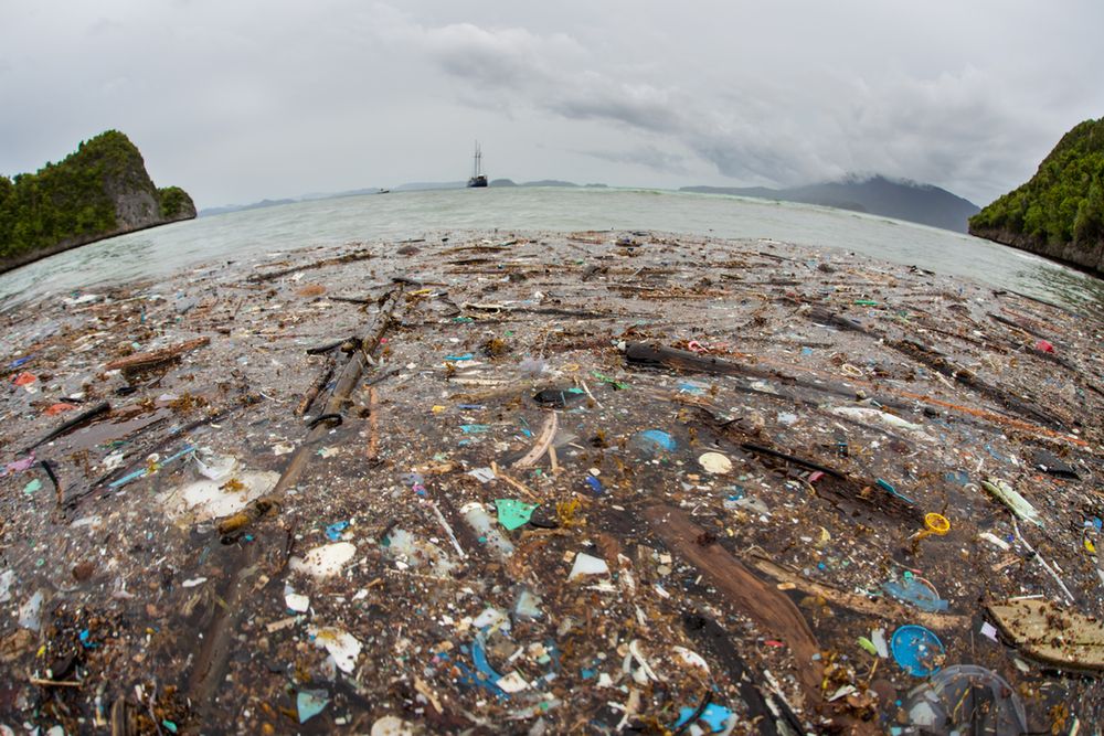 Wyspa śmieci na Pacyfiku 5 razy większa od Polski. "Niedługo w oceanach będzie pływać więcej plastiku niż ryb" 