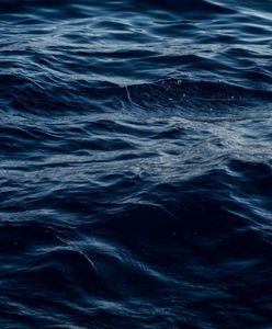 Śląskie. W Siamoszycach utonął 46-latek. Kąpał się w zalewie