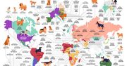 Rasy psów najpopularniejsze na świecie. Oto top najważniejszych państw