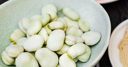 “Bób — prosta roślina o wielu właściwościach “
