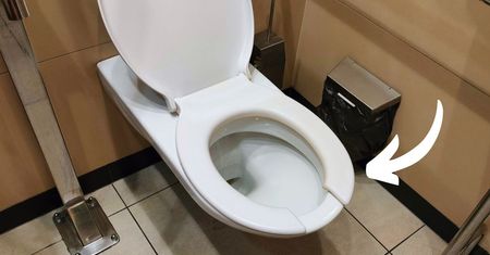 Publiczne toalety zawsze mają takie deski sedesowe. Kształt litery 'U' to nie przypadek