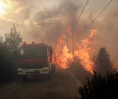 Pożary w Grecji. 60 ofiar śmiertelnych, 200 rannych. Zginęło dwoje Polaków