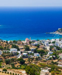 Praca marzeń czeka na rajskiej wyspie Syros. Kandydat musi lubić koty
