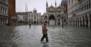 Wenecja walczy z powodzią. "Apokaliptyczne zniszczenia". Wideo i zdjęcia