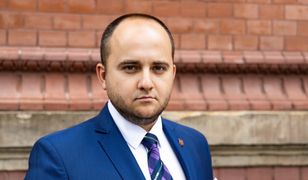 Szczecin w trosce o jeże rezygnuje z grabienia liści. Zdziwiony Dariusz Matecki pisze interpelację