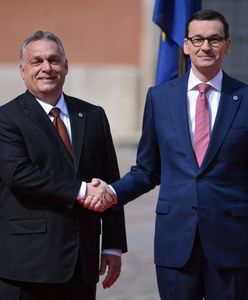 Trwa szczyt "Together for Europe – High Level Summit”. To inicjatywa Morawieckiego