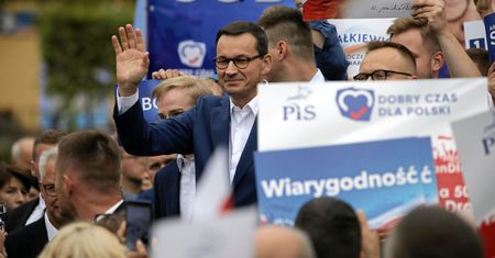 Świetlik: Po pierwsze bezpośredni kontakt, Głupcze (Opinia)