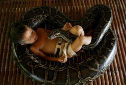 Pyton najlepszym przyjacielem?!