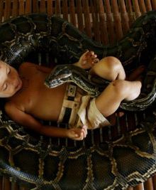 Pyton najlepszym przyjacielem?!