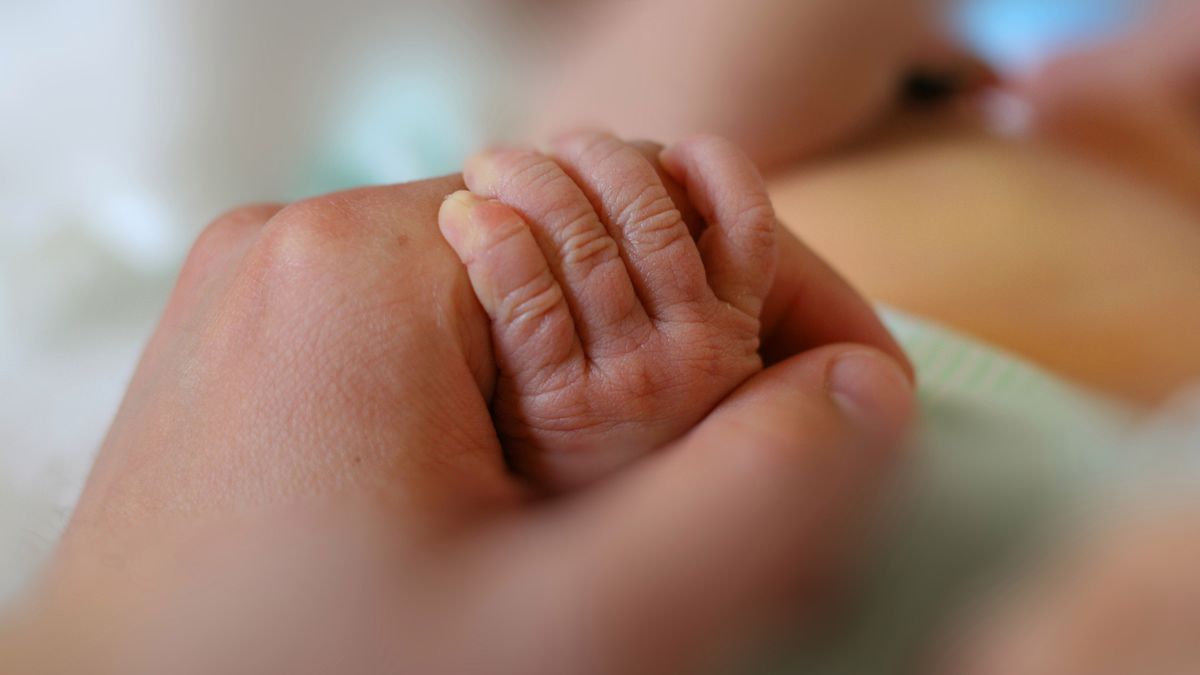Newborn baby little hand hold by adult man hand of his father