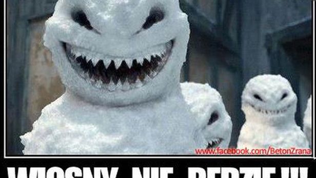 Wiosna nie nadeszła, internauci wyżywają się w memach. Zobaczcie najlepsze z nich 1