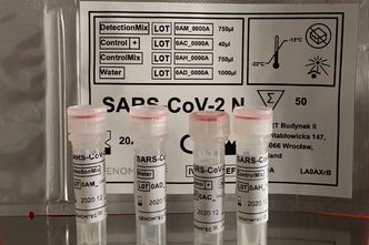 Wielka Brytania. Darmowe testy dla wszystkich obywateli