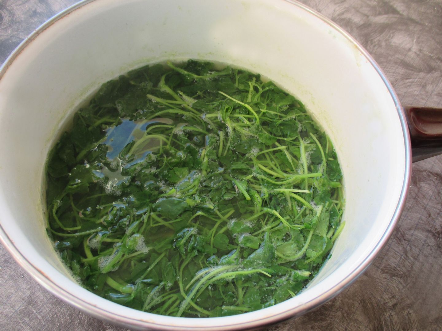 Watercress Raw food Preparation for making a soup
Watercress Raw food Preparation for making a soup
nobtis