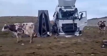 Wojna w Ukrainie. Poruszające nagranie spod Charkowa. "Denazyfikacja"