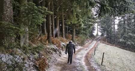 Natknął się na to podczas spaceru w lesie. "Co trzeba mieć w głowie?"