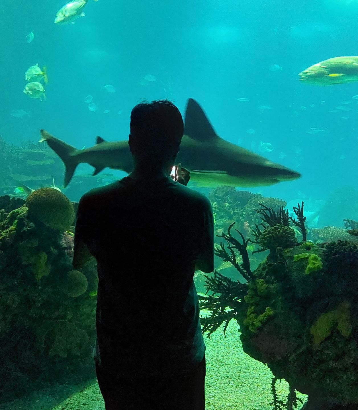 Oceanarium w Lizbonie