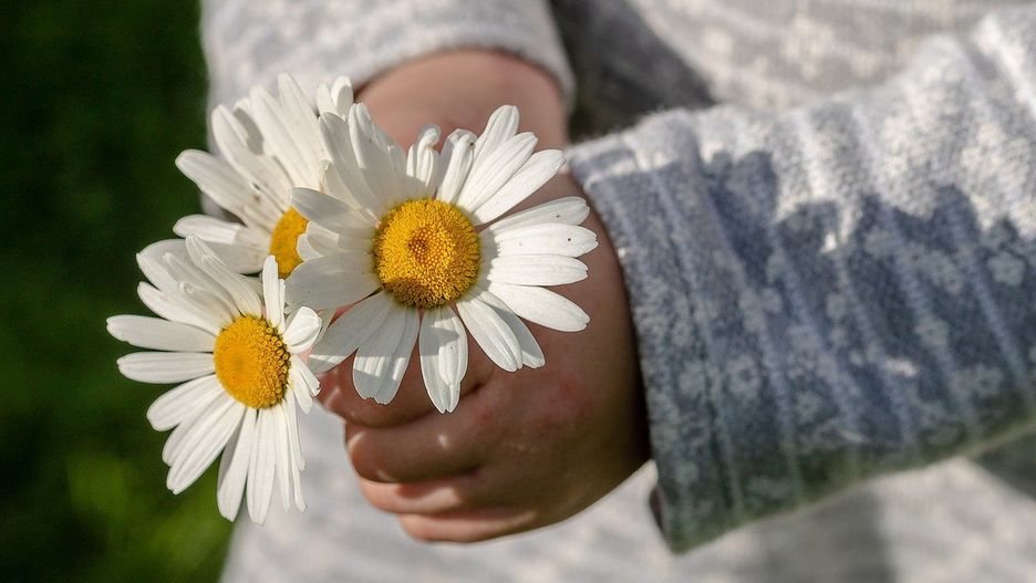 Dzień Matki 2021. Życzenia