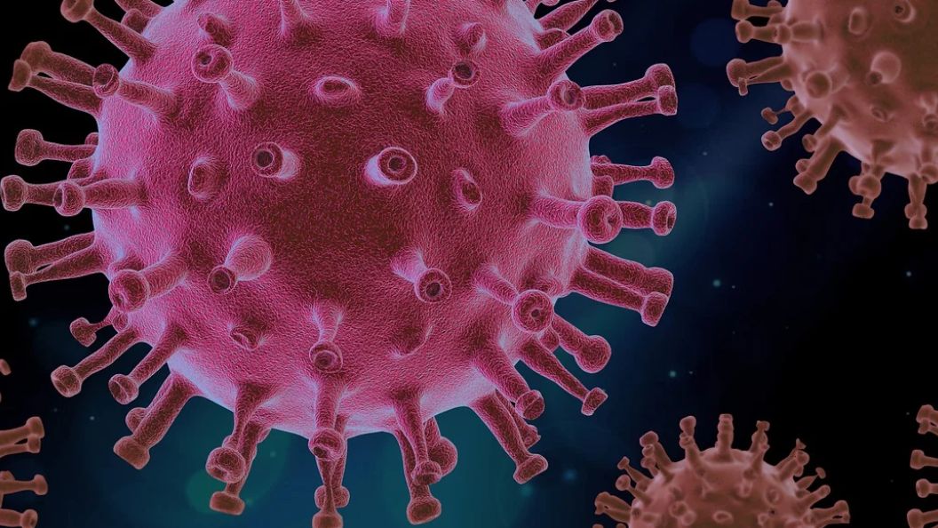 Test PCR jest badaniem molekularnym, wykorzystywanym w diagnostyce koronawirusa SARS-CoV-2. 