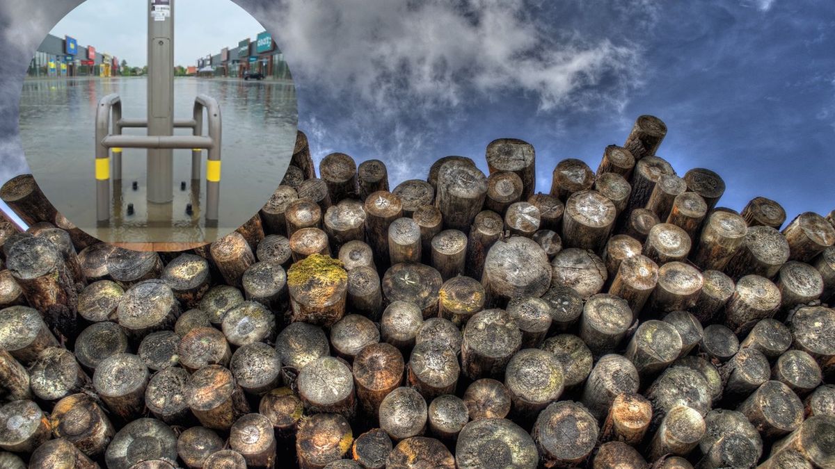 Wycięli ponad 200 drzew. Taki jest efekt!