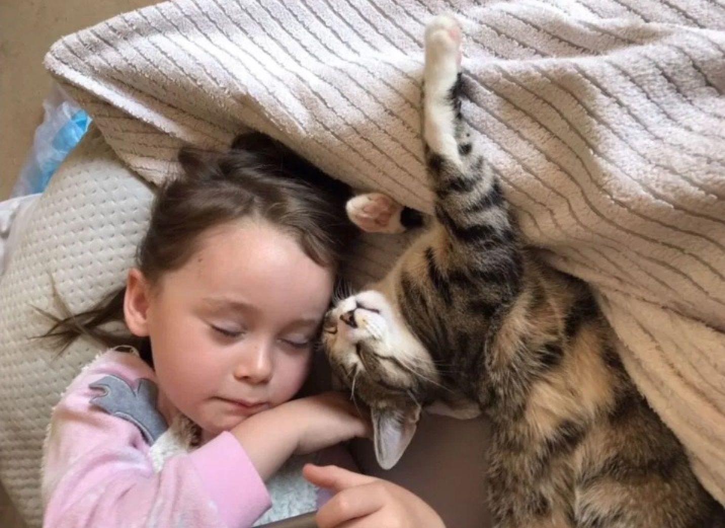 Czym może zarazić się dziecko od kota? Alice Hudson ze swoim kotem