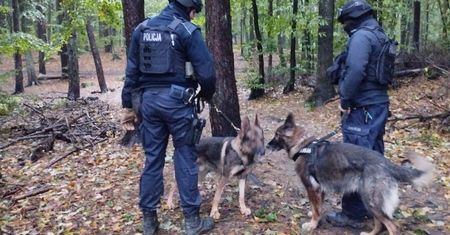 Las między Chwarznem a Karwinami. Policja wydała pilny komunikat