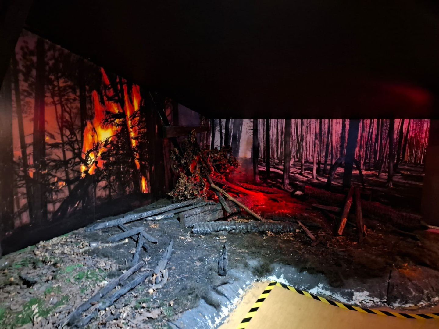 Noc w Muzeum w Rakoniewicach