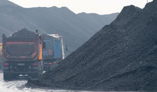 Promocja na węgiel w PGG. Tak zaoszczędzisz 250 zł na tonie